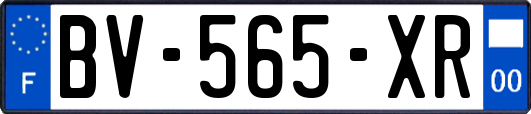 BV-565-XR