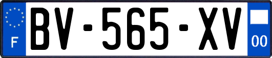 BV-565-XV