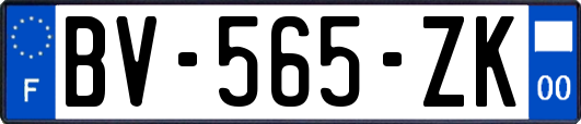 BV-565-ZK