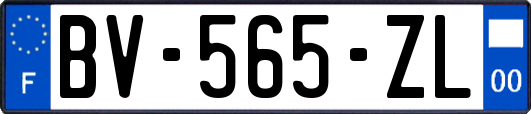 BV-565-ZL