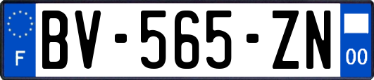 BV-565-ZN