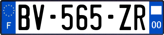 BV-565-ZR