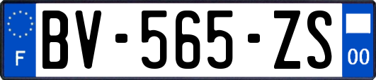 BV-565-ZS