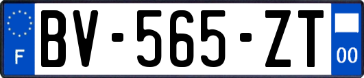 BV-565-ZT