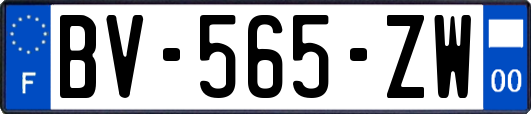 BV-565-ZW