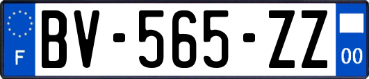 BV-565-ZZ