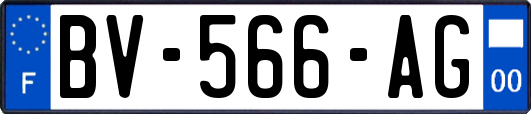 BV-566-AG