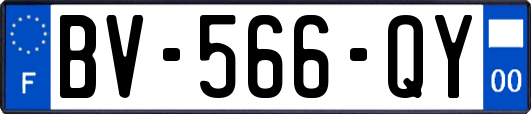 BV-566-QY