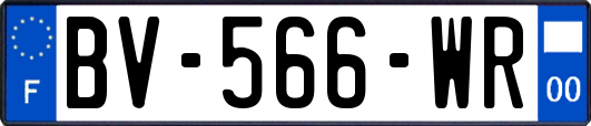 BV-566-WR