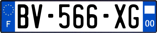 BV-566-XG
