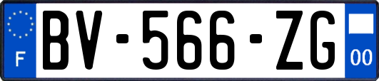 BV-566-ZG