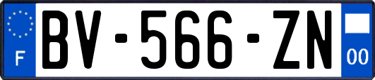 BV-566-ZN