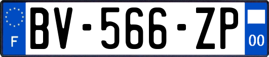 BV-566-ZP