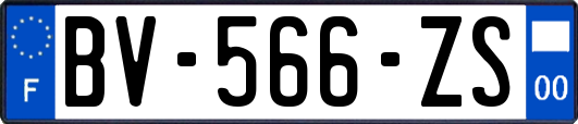 BV-566-ZS