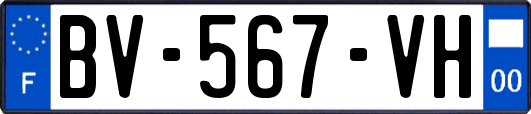 BV-567-VH