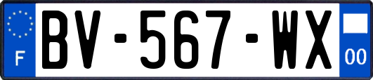 BV-567-WX