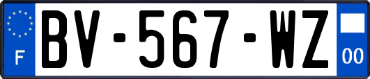 BV-567-WZ