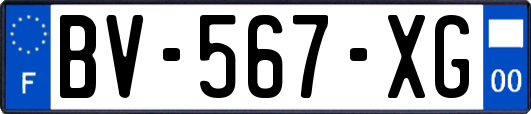 BV-567-XG
