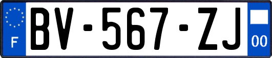 BV-567-ZJ