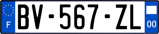 BV-567-ZL