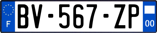 BV-567-ZP