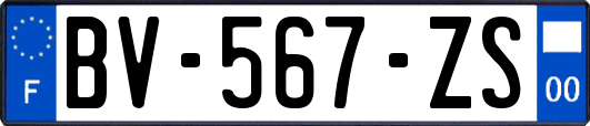 BV-567-ZS