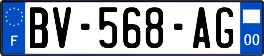 BV-568-AG