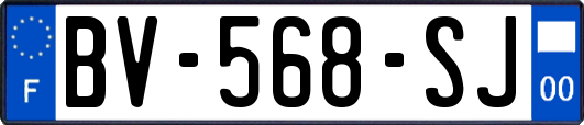 BV-568-SJ