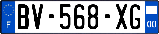 BV-568-XG
