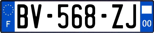 BV-568-ZJ