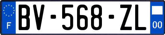 BV-568-ZL