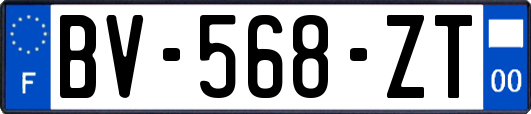 BV-568-ZT