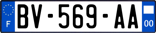 BV-569-AA