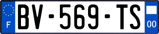 BV-569-TS