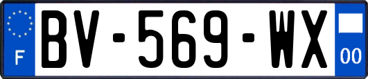 BV-569-WX