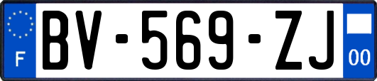 BV-569-ZJ