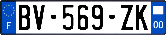 BV-569-ZK