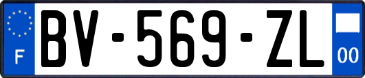 BV-569-ZL