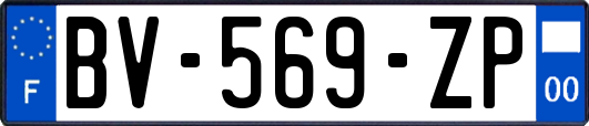 BV-569-ZP