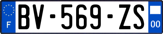 BV-569-ZS