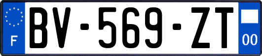 BV-569-ZT