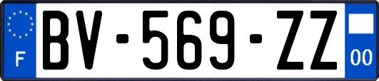 BV-569-ZZ