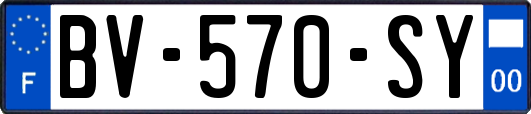 BV-570-SY