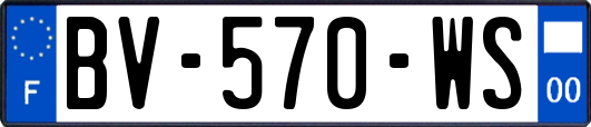 BV-570-WS