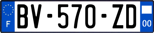 BV-570-ZD