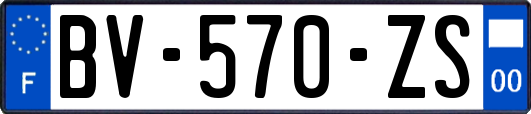 BV-570-ZS