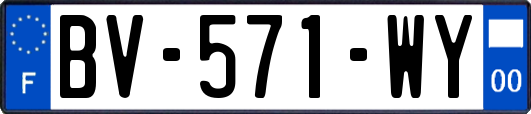 BV-571-WY