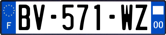 BV-571-WZ