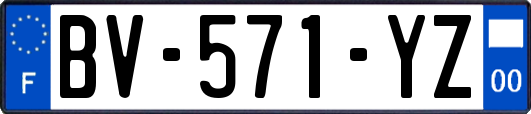 BV-571-YZ