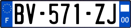 BV-571-ZJ